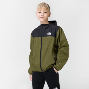 Striukės ir parkos | The north face | Prekiniai ženklai